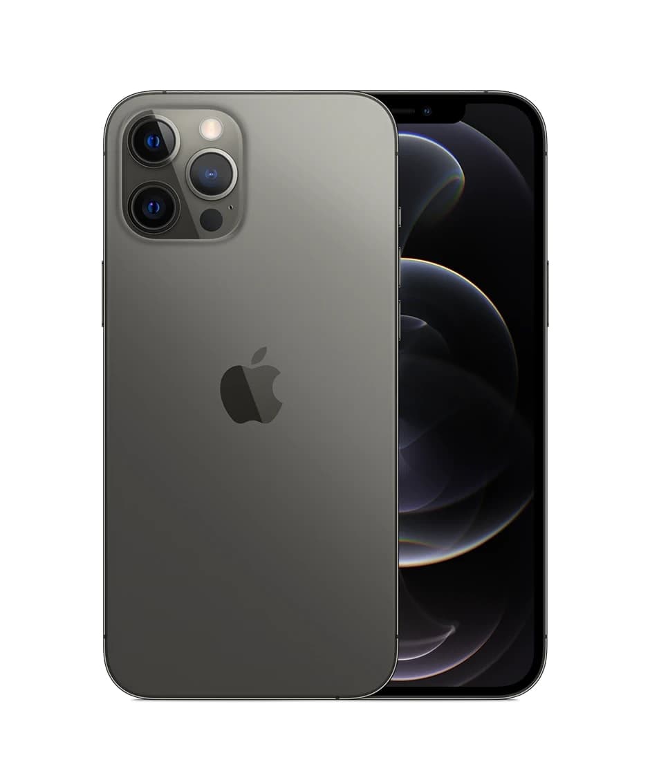 iPhone 12 Pro Max Back