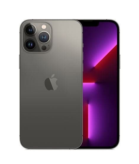 iPhone 13 Pro Max Back
